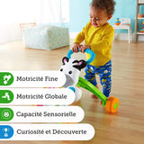 Fisher-Price Mon Trotteur Zèbre Parlant pour apprendre à marcher avec musique et activités d'éveil, pour bébé de 6 mois et plus, version française, DLD96